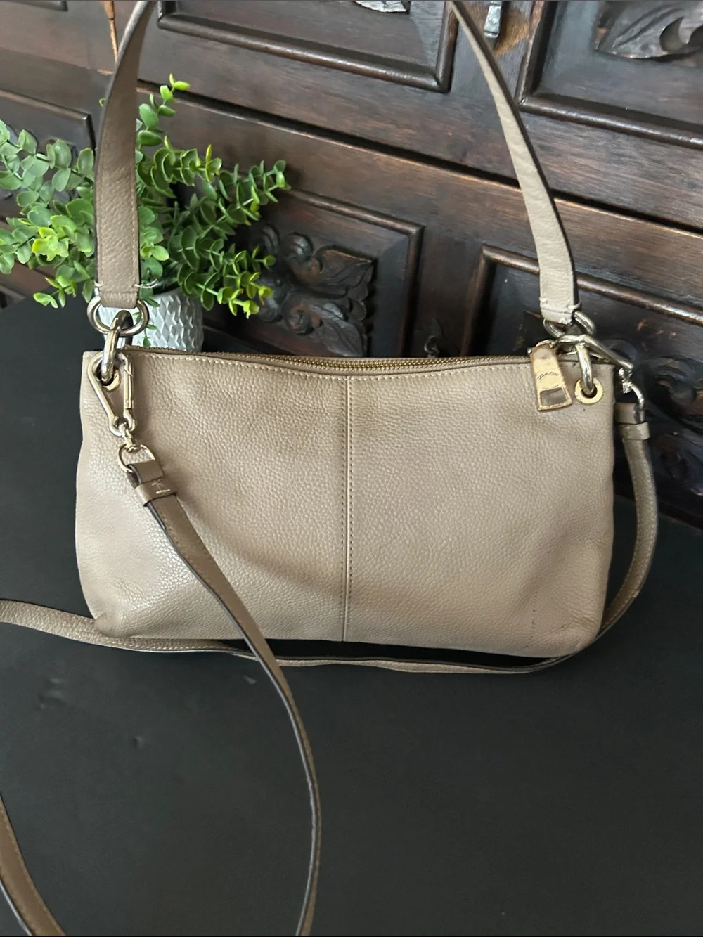 Coach Leather Crossbody Bag in Taupe with Embossed Carriage